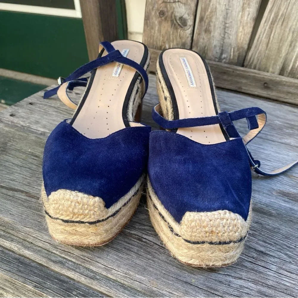 Opening Ceremony Blue Espadrille Wedge Sandals with Ankle Strap